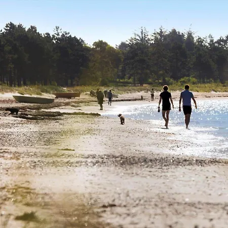 8244-knebel-metholmvej-20 * Eg